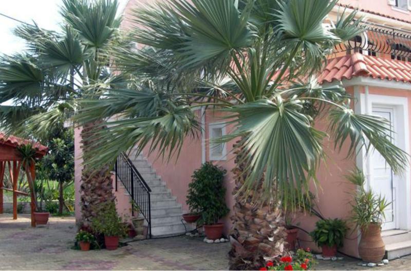 Katerina Studios Svoronata Exterior foto